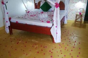 Bed & Breakfast Kendwa Carletto Style