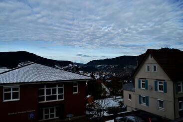 Hôtel Restaurant Tomahawk