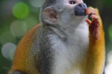 Bed & Breakfast Mycasa S