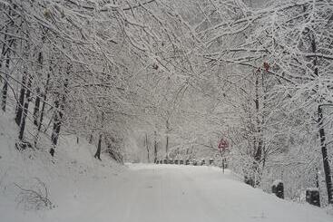 Pensjonat Casa Stefi Si Alexia