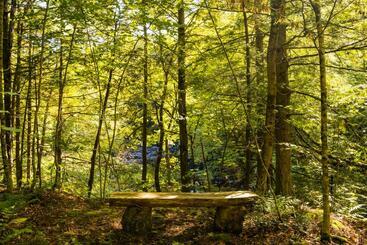 Bed and Breakfast Boisé Rivière