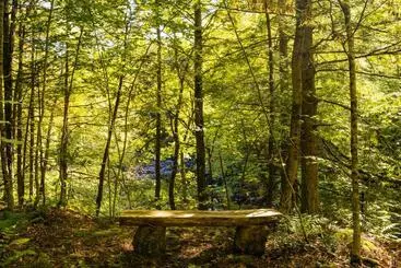 Aamiaismajoitus (B&B) Boisé Rivière