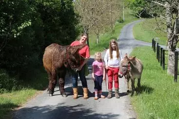 ベッドアンドブレックファースト Lo Petit Cretsou