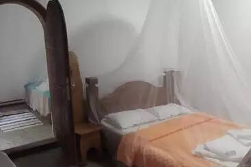 Pensjonat Casa Cu Flori Murighiol