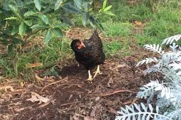 Sherwood Park Bed And Breakfast