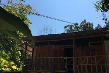 ホテル Jungle Drake