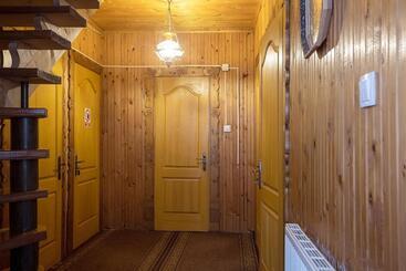 پانسیون анасоль