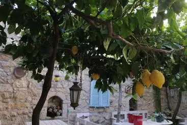 Kaktüshan Otel