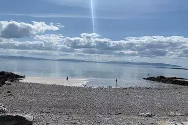 Bed and Breakfast Feeney S Audubon Lodge