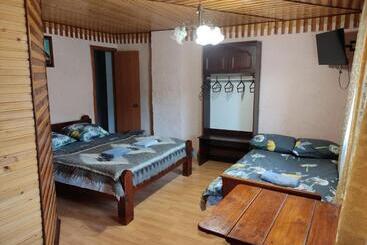 پانسیون V Ulyanu