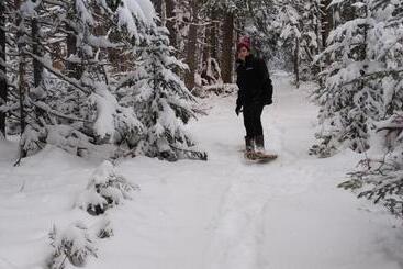 הוסטל Amherst Shore Country Inn