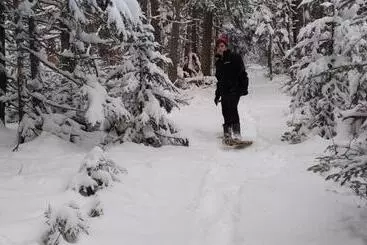 ユースホステル Amherst Shore Country Inn