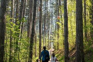 بنسيون Horse House
