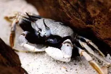 Koh Talu Island Resort