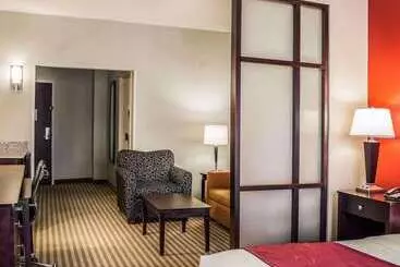 Hotel Comfort Suites Columbus East Broad