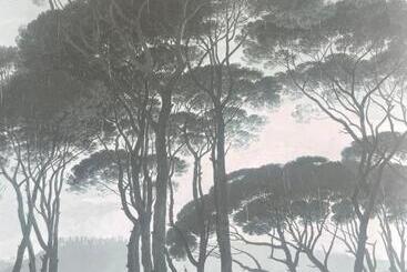 تختخواب و صبحانه Chiesa Russa