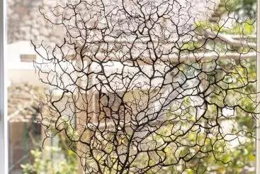 Pensjonat Casa Dani Capri