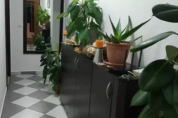 Pension Guesthouse Jasmine