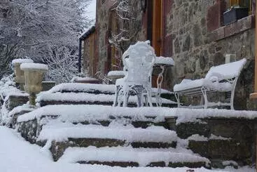 Bed and Breakfast Silverstripe
