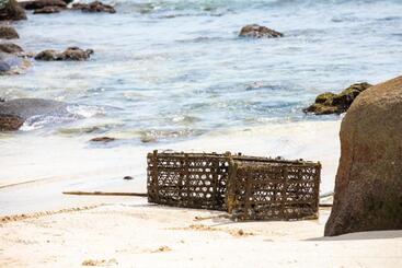 Pension (Hôtel basse catégorie) Domaine Desaubin Luxury Villas