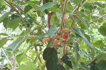 پانسیون Secluded And Modern Beachfront House