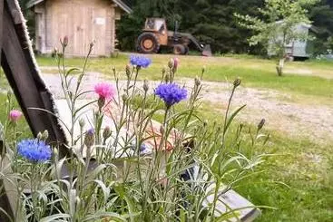 Aamiaismajoitus (B&B) Kulttuurikartano Pekan Pirtit