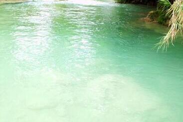 Пансион Room In Cabin Cozy Sierraverde Cabins Cabana La Ceiba