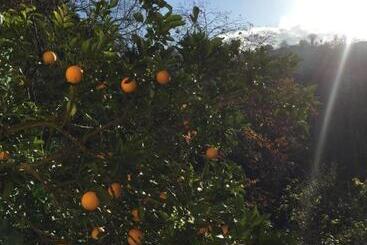 پانسیون Apartment Murad