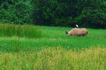 Resort I   Talay Taling Ngam Samui   เขา ป่า นา เล ตลิ่งงาม สมุย