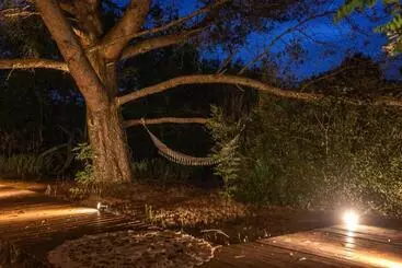 Bed and Breakfast Nuitées Bohèmes