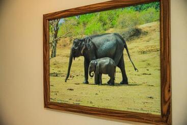 בית מלון כפרי O2 Ella