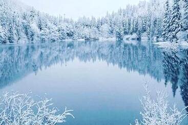 Pensão котедж смерекова хата  пилипець