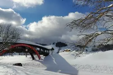 Pension Penzion Damisport