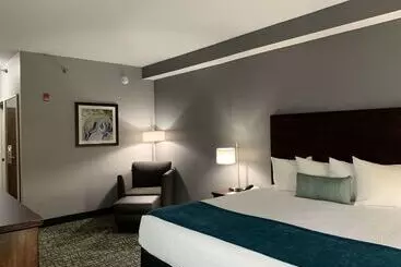 Best Western Plus Olive Branch Hotel & Suites