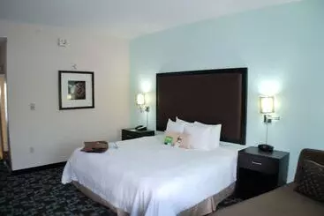 هتل Hampton Inn & Suites Nashville @ Opryland