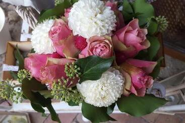 مبيت وإفطار Lesence Major