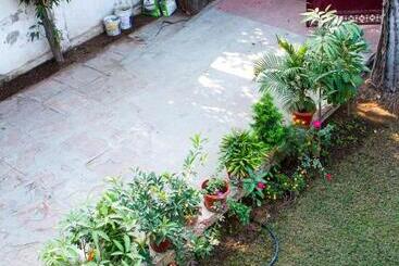 膳宿费 Falcon Guest House