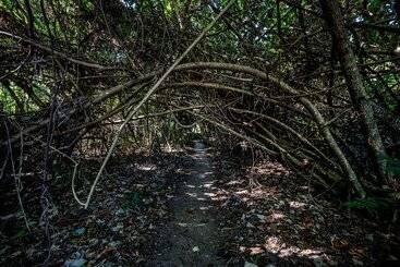 방갈로 Eco Village Mission Beach