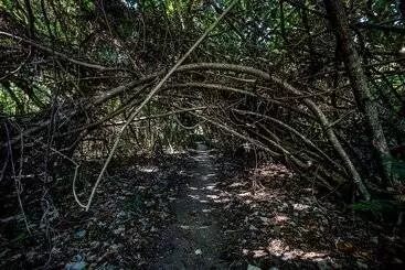 방갈로 Eco Village Mission Beach