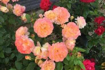 צימר La Maison De Milie