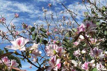 بنسيون Zeekoegat Historical Homestead