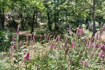 민박 O Homem Verde