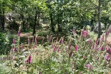 Nocleg ze śniadaniem O Homem Verde