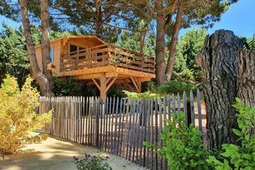 住宿加早餐 La Palmeraie