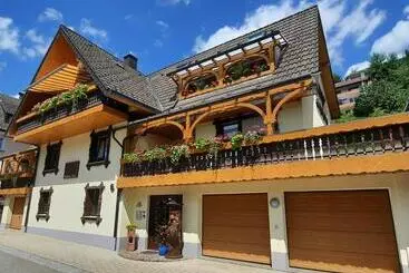ペンション Gästehaus Haaser
