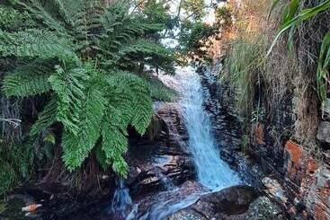 Pensione Schaefers Halt