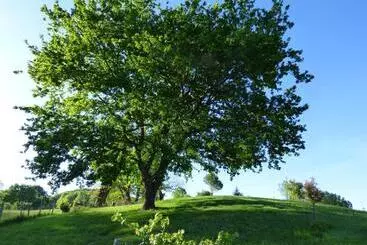 Majatalo La Tiny Des 3 Pics