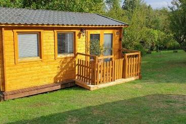 膳宿费 Lily Of The Valley