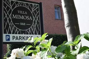 B&b Villa Mimosa