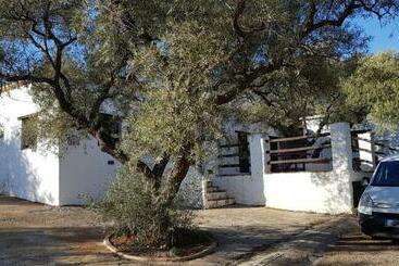 Pension Gateway To The Alpujarras,  Cortijo Derry